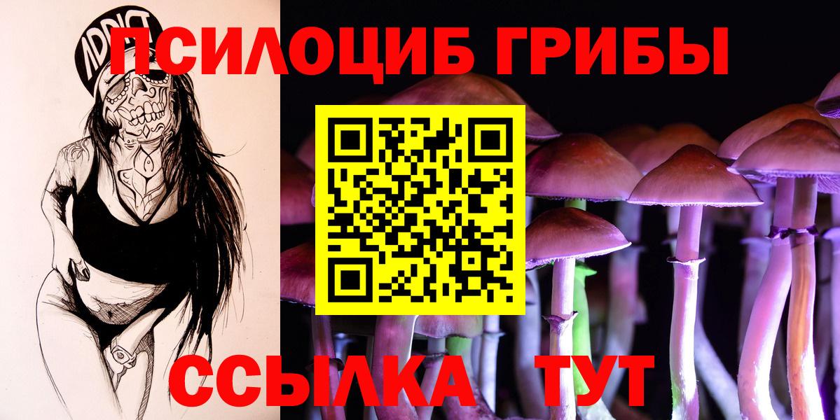 ГАШ Шахты