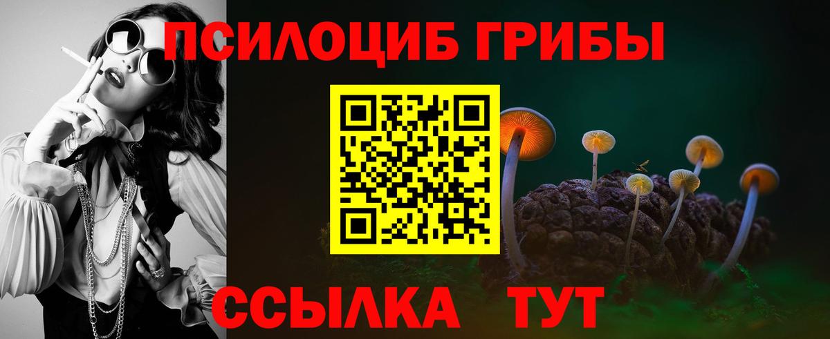 Псилоцибиновые грибы ЛСД  Вход с VPN  Псилоцибиновые грибы Cubensis  Шахты 